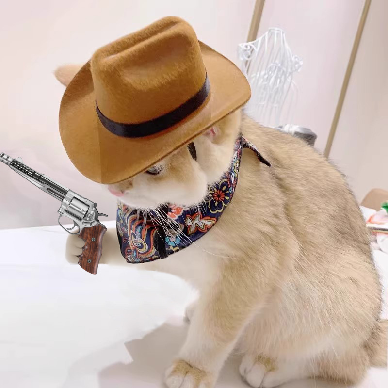    Kedi Kovboy Şapkası Evcil  - Cowboy Hat Straw incelemesi ve fiyatı